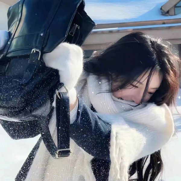 加菲猫和他的朋友们第一季